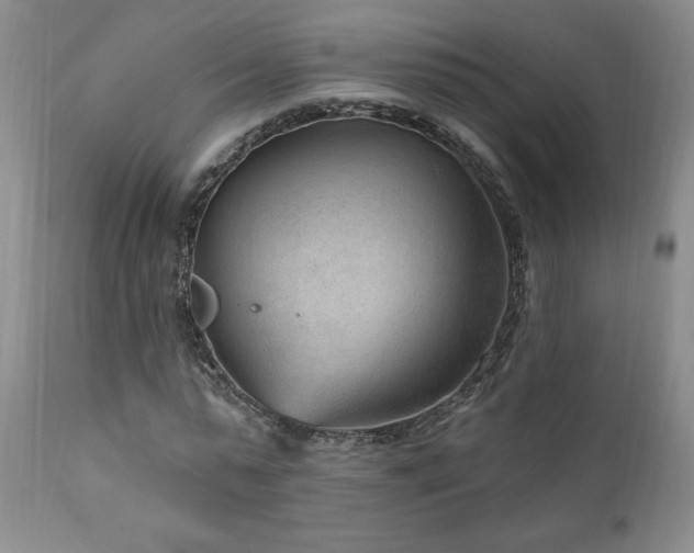 X0000111040775200906251401