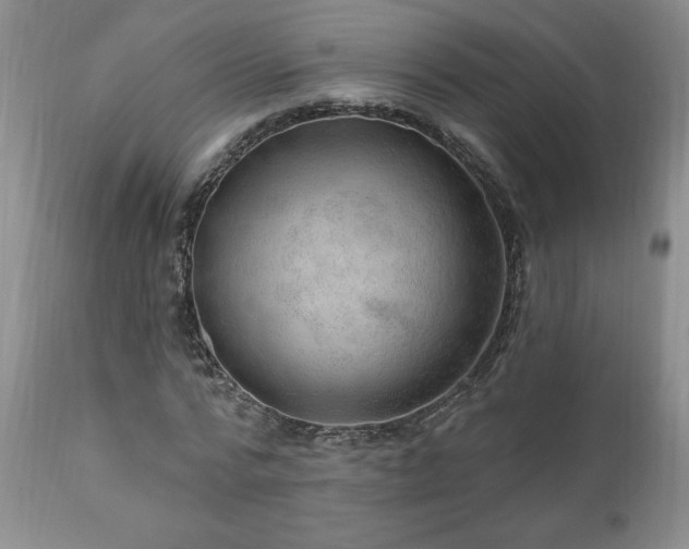 X0000111040776200906251401