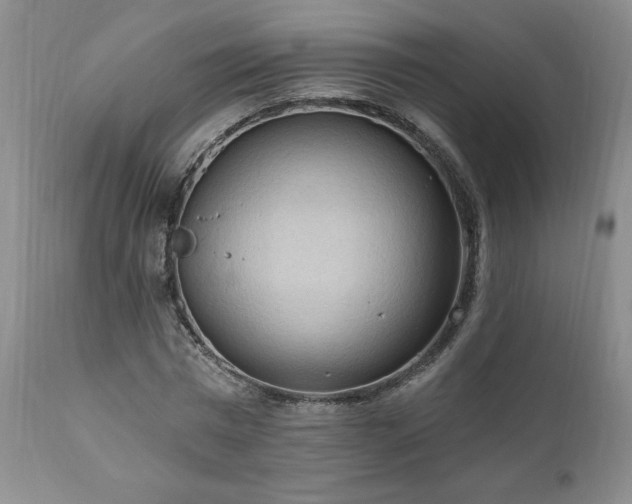 X0000111040777200906251401