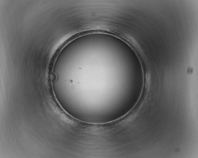 X0000111040780200906251400