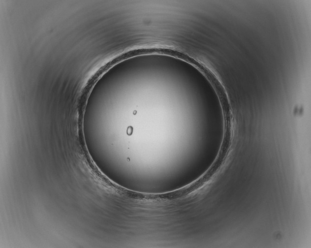 X0000111040781200906251400