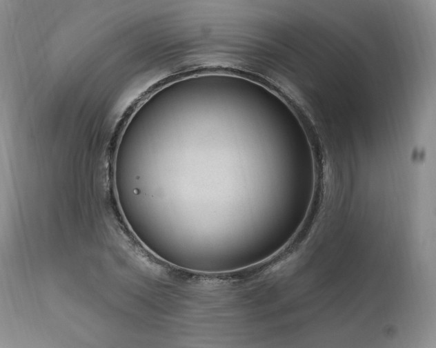X0000111040782200906251400