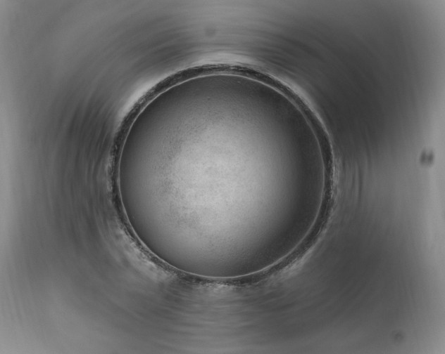 X0000111040783200906251400