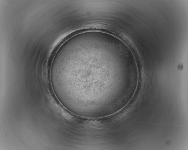X0000111040784200906251400