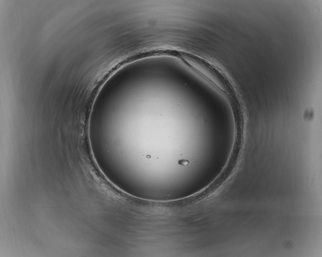 X0000111040785200906251400