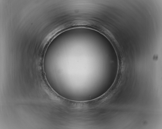 X0000111040786200906251400