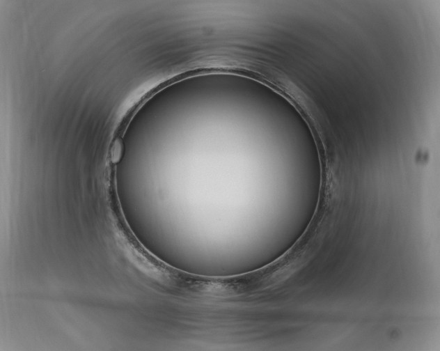 X0000111040787200906251400