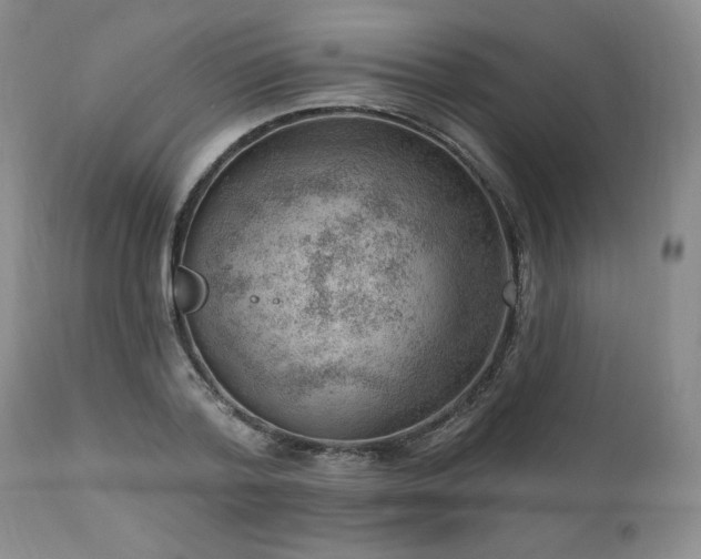 X0000111040788200906251400