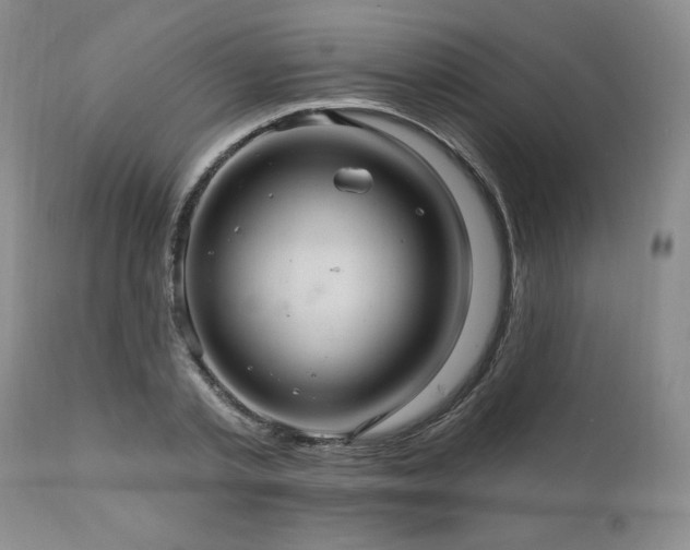 X0000111040789200906251400
