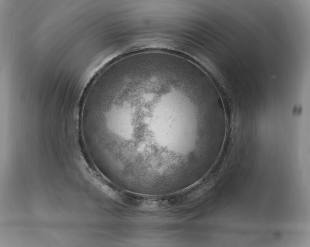 X0000111040790200906251400