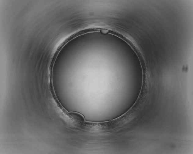 X0000111040791200906251400