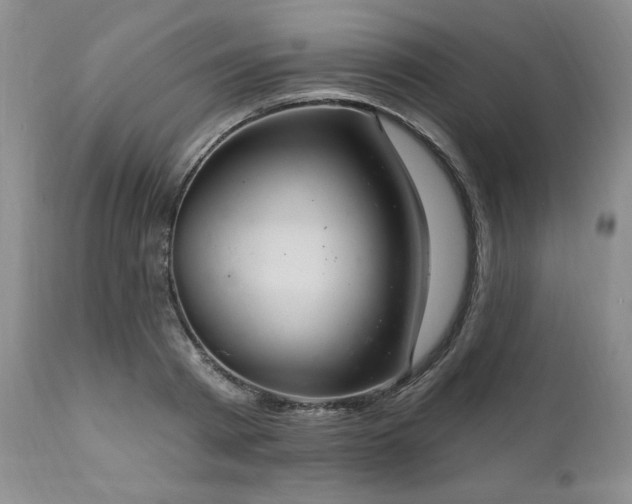 X0000111040793200906251400