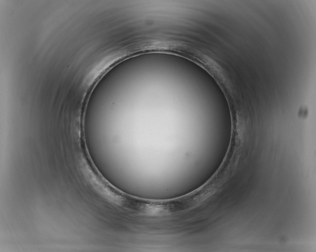 X0000111040794200906251400