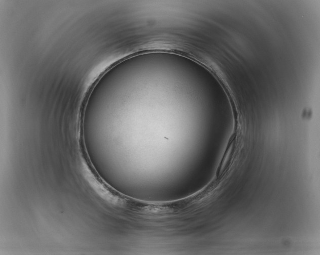 X0000111040795200906251400