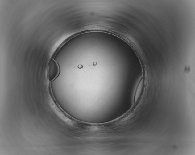 X0000111040796200906251400