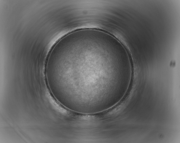 X0000111040797200906251400