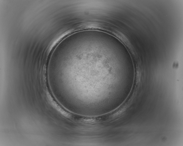 X0000111040798200906251400