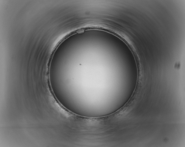 X0000111040799200906251400