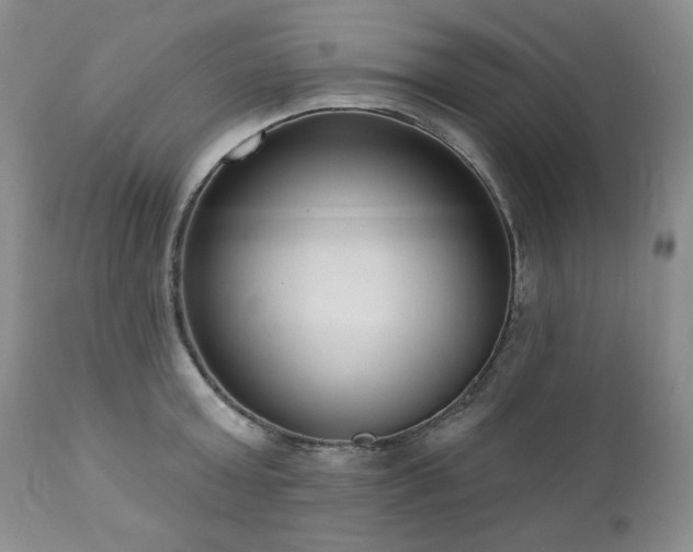 X0000111040803200906251400