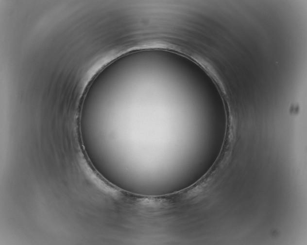X0000111040805200906251400