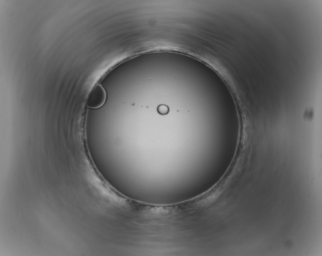 X0000111040806200906251400