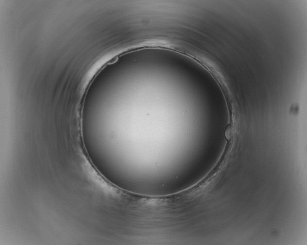 X0000111040808200906251400