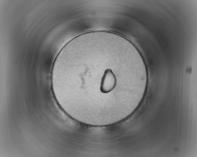 X0000111040810200906251400