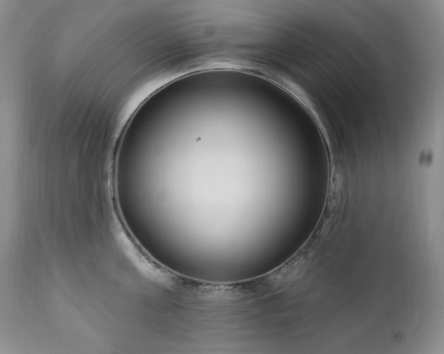 X0000111040811200906251400