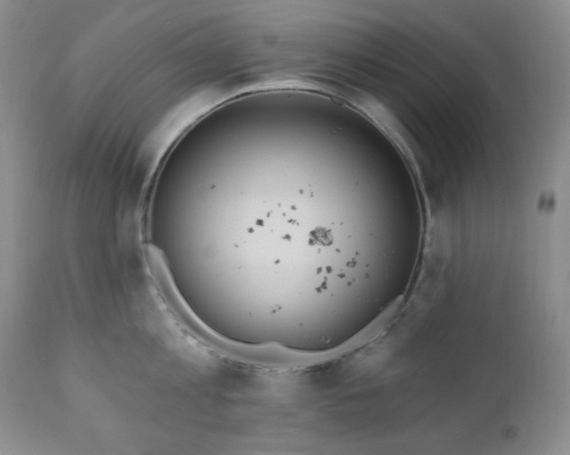 X0000111040813200906251400