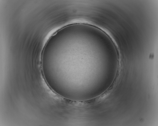 X0000111040815200906251400
