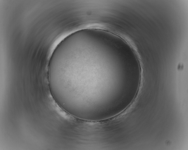 X0000111040816200906251400