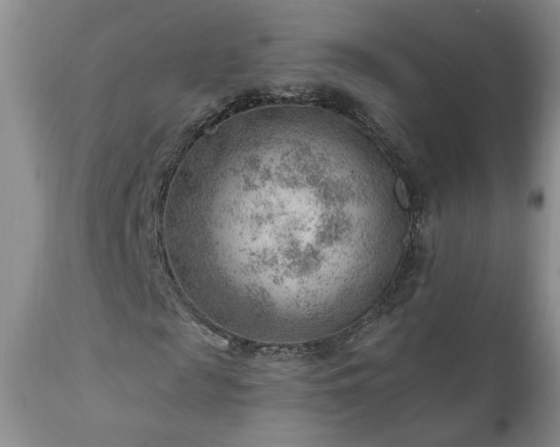 X0000111040817200906251359