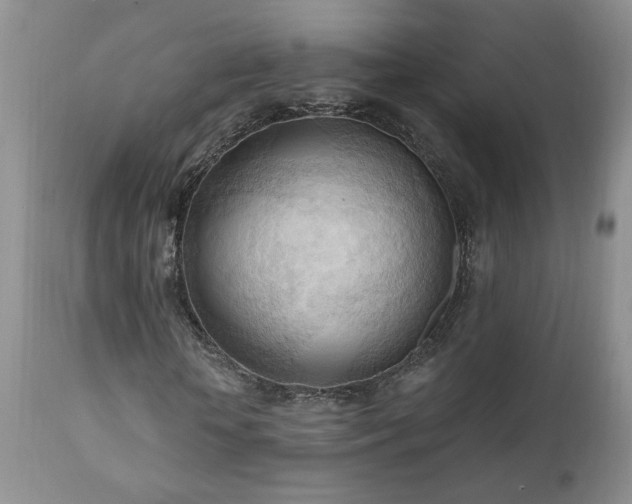 X0000111040818200906251359
