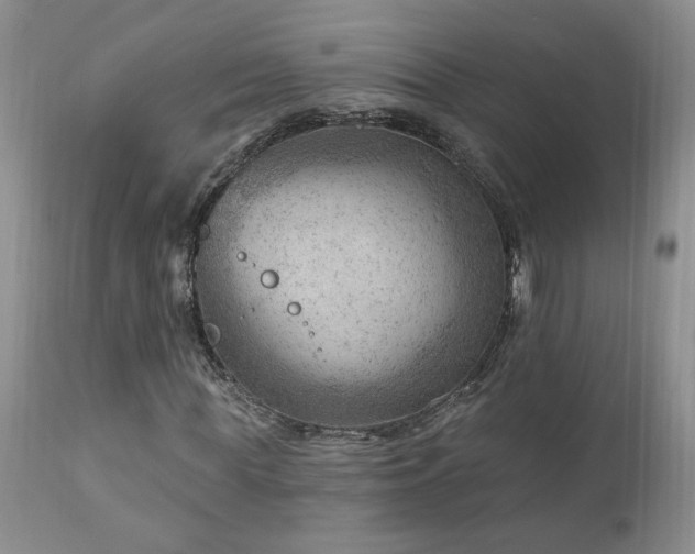 X0000111040819200906251359