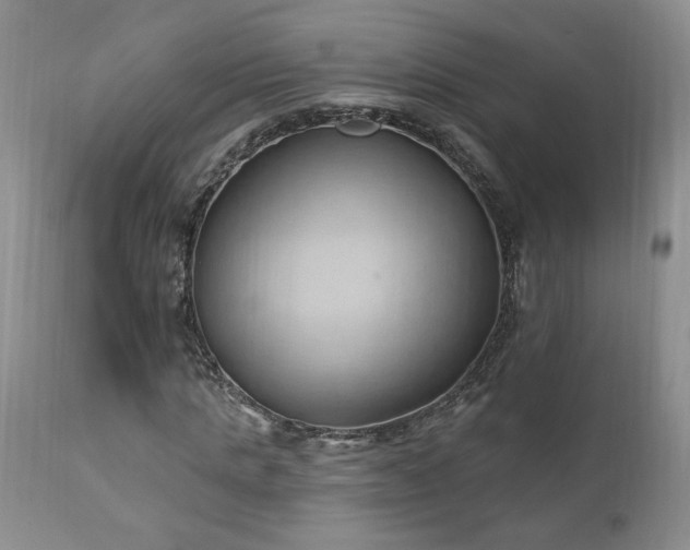 X0000111040821200906251359