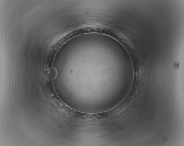 X0000111040822200906251359