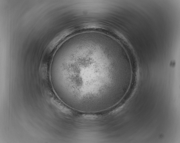 X0000111040825200906251359