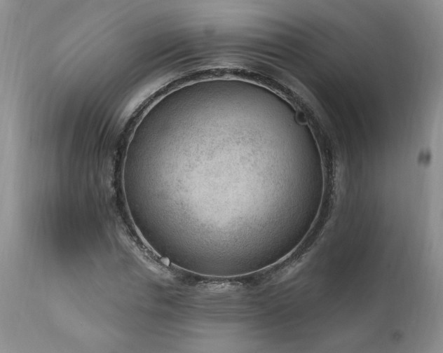 X0000111040826200906251359