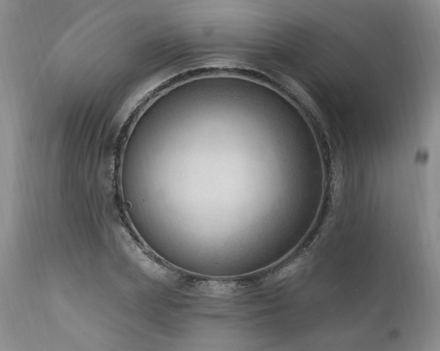 X0000111040831200906251359
