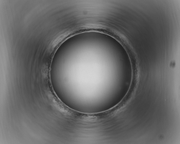 X0000111040833200906251359