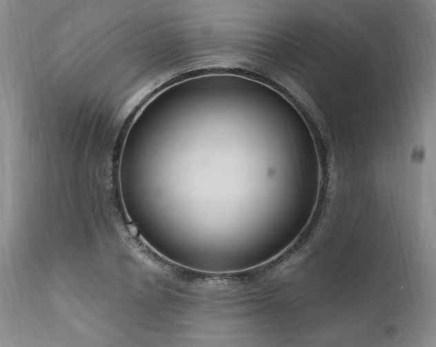 X0000111040834200906251400