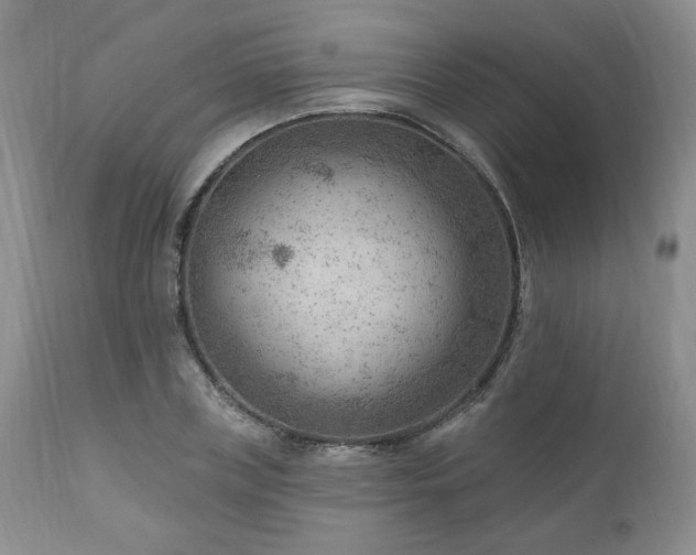 X0000111040835200906251400
