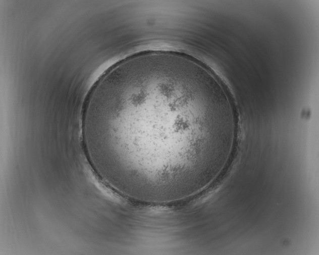 X0000111040837200906251400