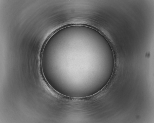 X0000111040840200906251400