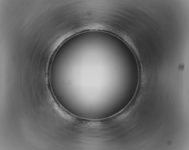 X0000111040845200906251400