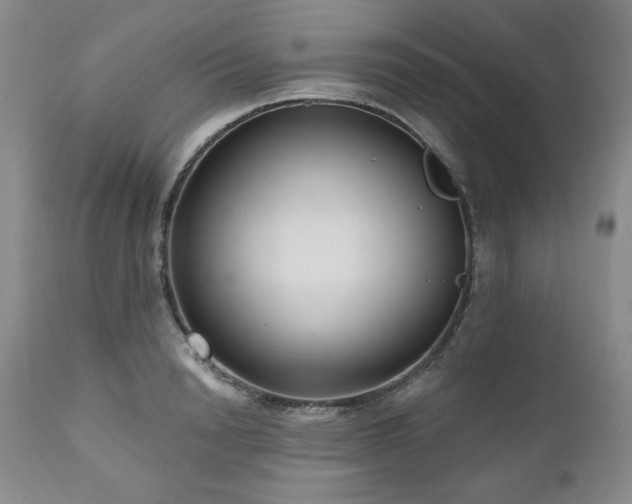 X0000111040846200906251400