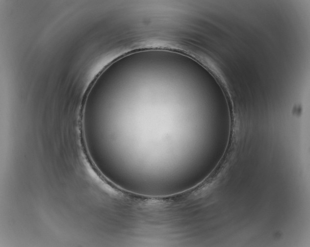 X0000111040847200906251400