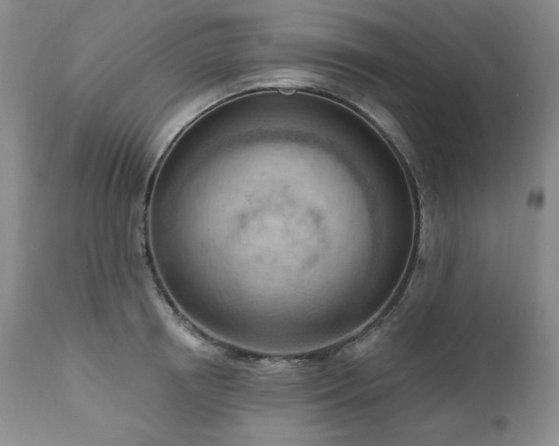 X0000111040850200906251400