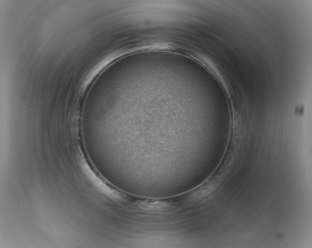X0000111040851200906251400