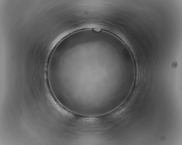 X0000111040853200906251400